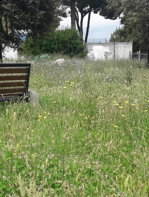 Stefano Alberti chiede di ripulire e riaprire il parco dei Quercioli