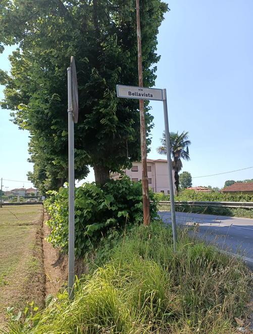 Sfalcio dell’erba iniziato lungo la via Sarzanese dopo le proteste