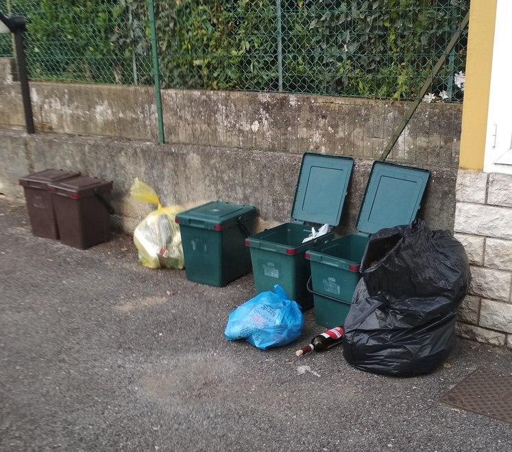 «Organico esposto per troppe ore con il caldo»