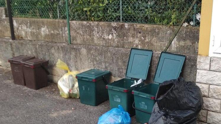 «Organico esposto per troppe ore con il caldo»
