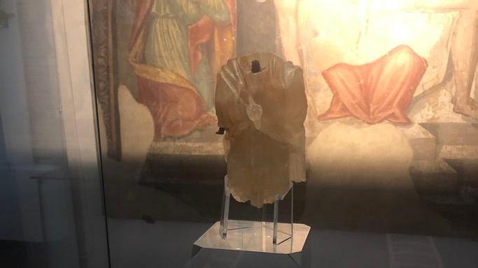 Sconti, visite guidate e archeotour il museo Guerrazzi formato famiglia