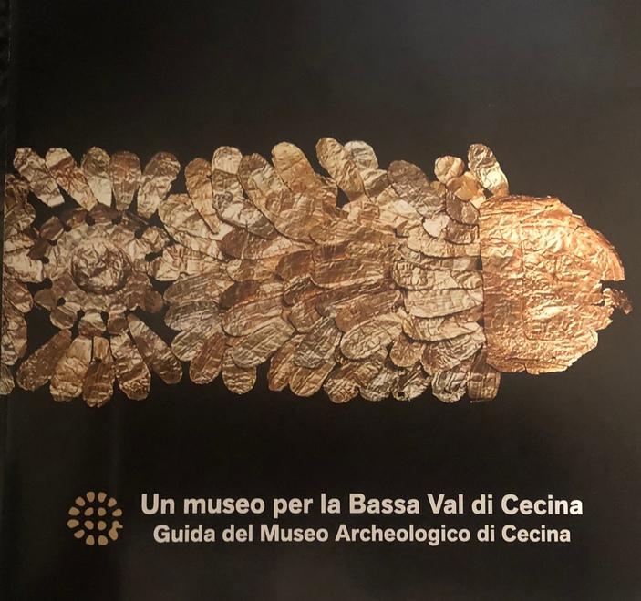 Una guida al Guerrazzi, museo per la Bassa Val di Cecina 