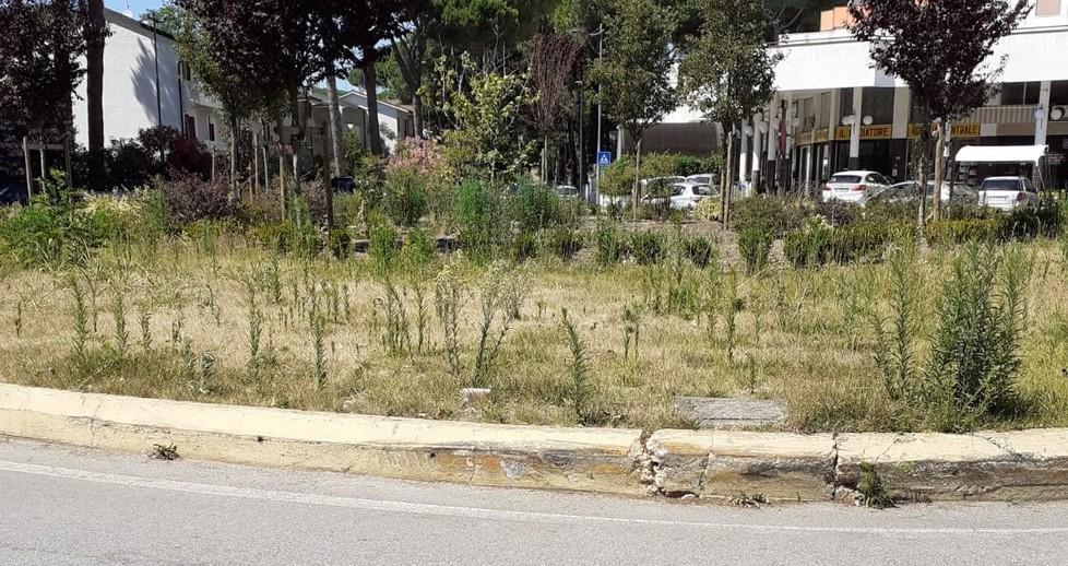 «Quella aiuola va sistemata»