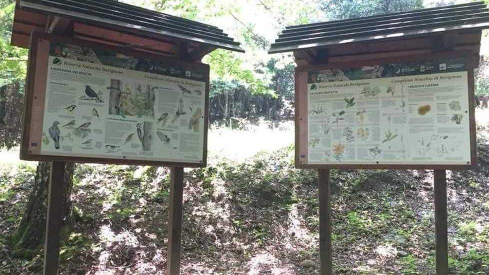 Percorso didattico, tavoli e braciere a Dispensa nella foresta del Tatti