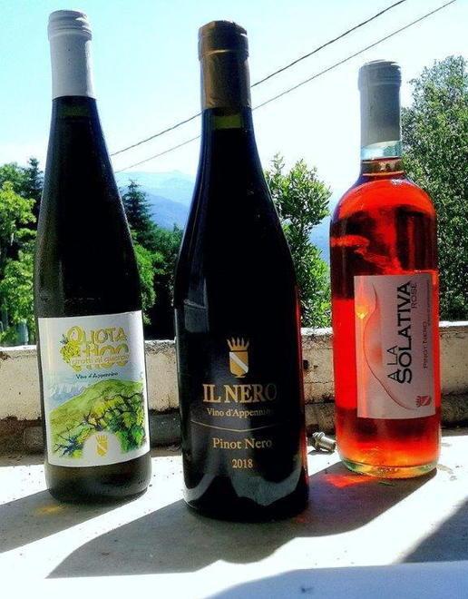 Gregorio Ceccarelli, l’alfiere del vino prodotto sulla Montagna Pistoiese 