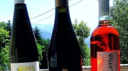 Gregorio Ceccarelli, l’alfiere del vino prodotto sulla Montagna Pistoiese