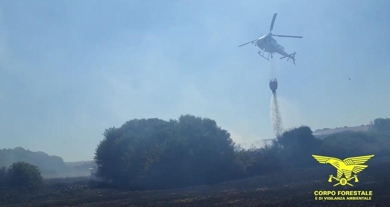 Brucia la Nurra, in fumo quindici ettari 