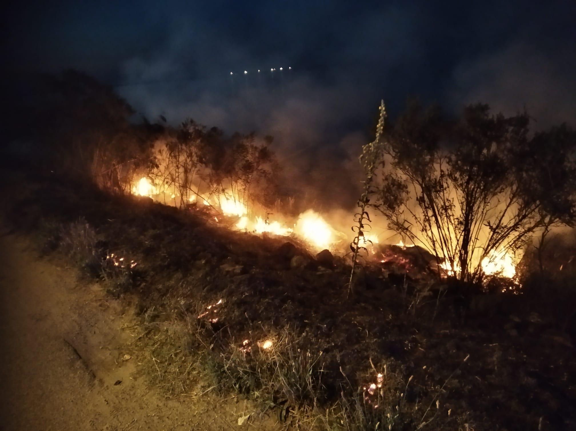 Goro, fiamme sull'argine vicino al distributore del Porto