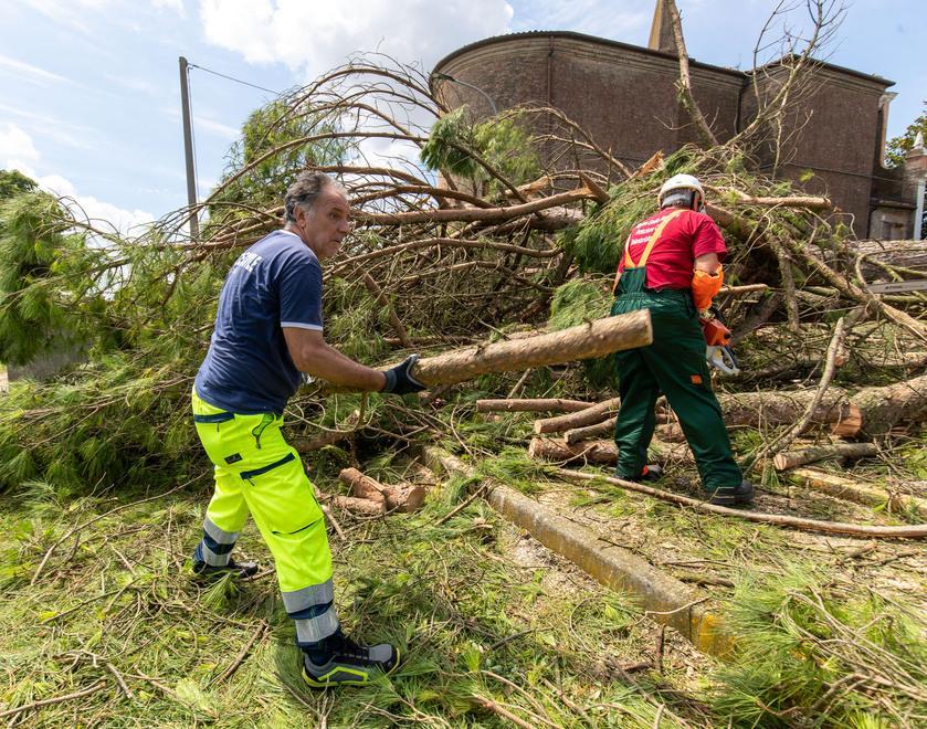 In programma a giorni la raccolta degli alberi spezzati dalla tempesta 