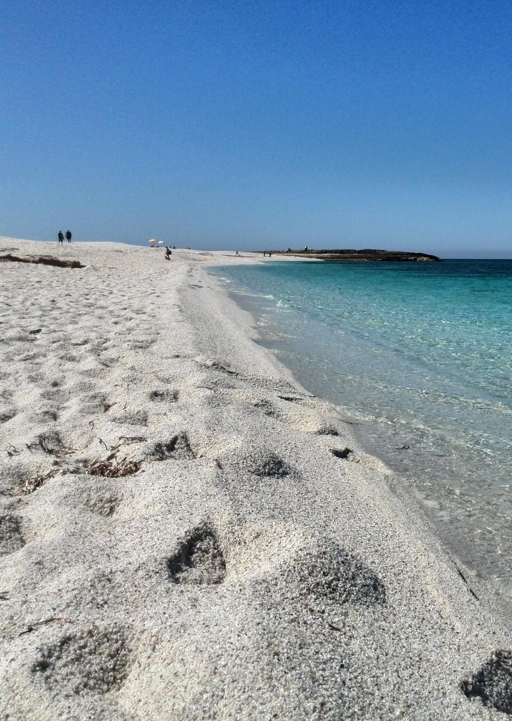 Con l’App dedicata le spiagge sono sicure e accessibili a tutti