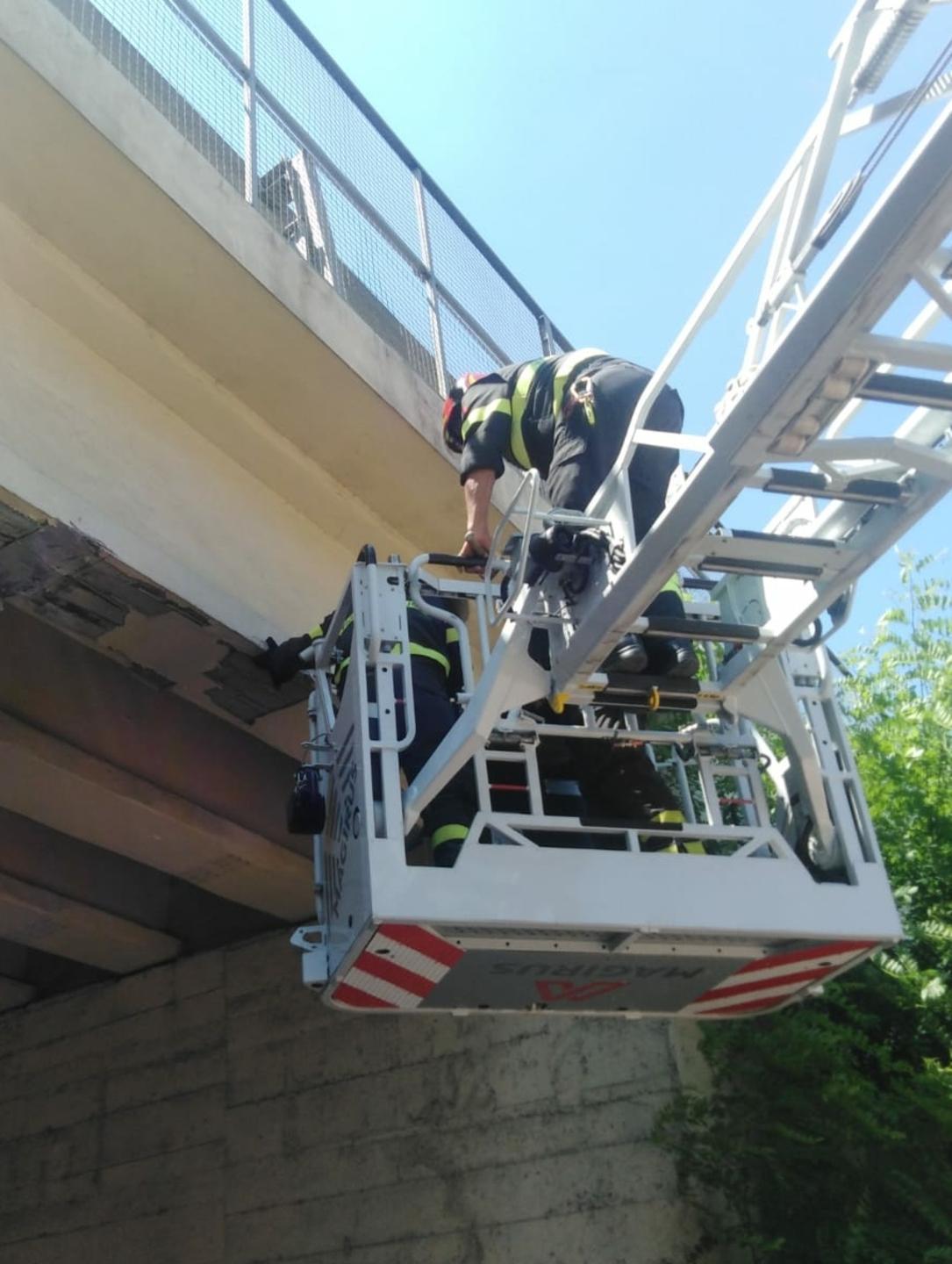 Camion danneggia il cavalcavia 