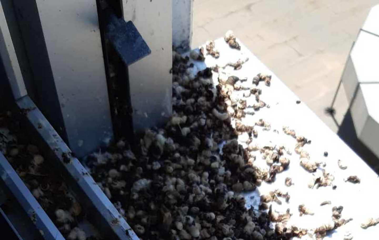 Sgomento a Sassari: «Mio padre in ospedale trovato nudo su una sedia» 