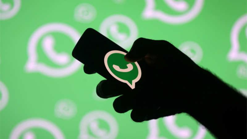Pedopornografia, mutilazioni e animali decapitati nella chat dell'orrore: denunciato gruppo di adolescenti