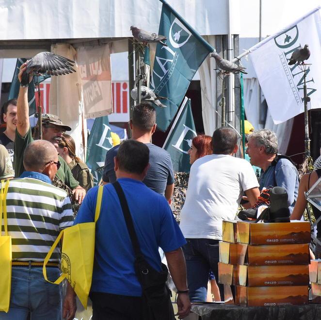 Settembre più povero senza il Game Fair «Ci vediamo nel 2021»