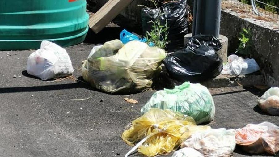 Rifiuti sparsi e abbandonati