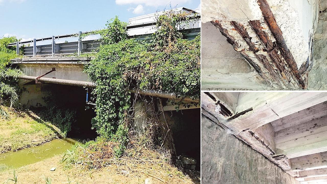 Paura per il ponte sul Chiecina: tra vibrazioni e cemento corroso 