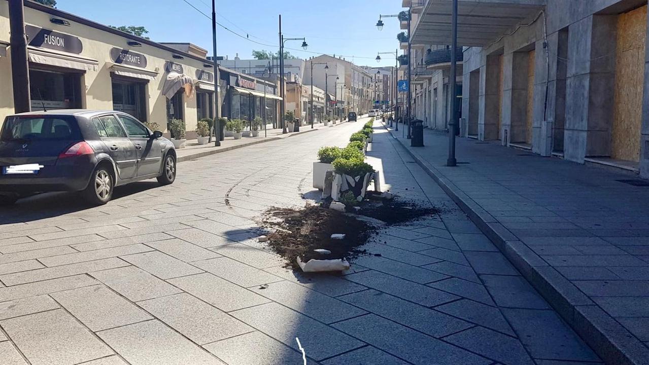 Olbia, vandali devastano alcune fioriere in Corso Umberto