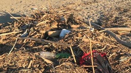 La spiaggia libera di Motrone senza docce, wc, bar e punto ristoro
