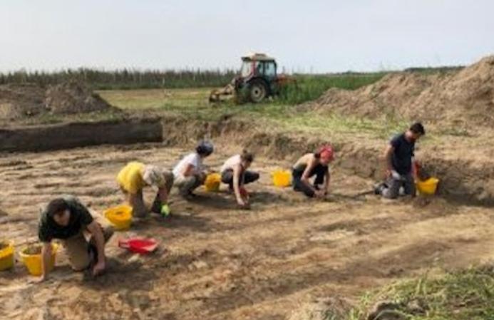 Insediamenti etruschi La quercia di Dante ne sta svelando i segreti 