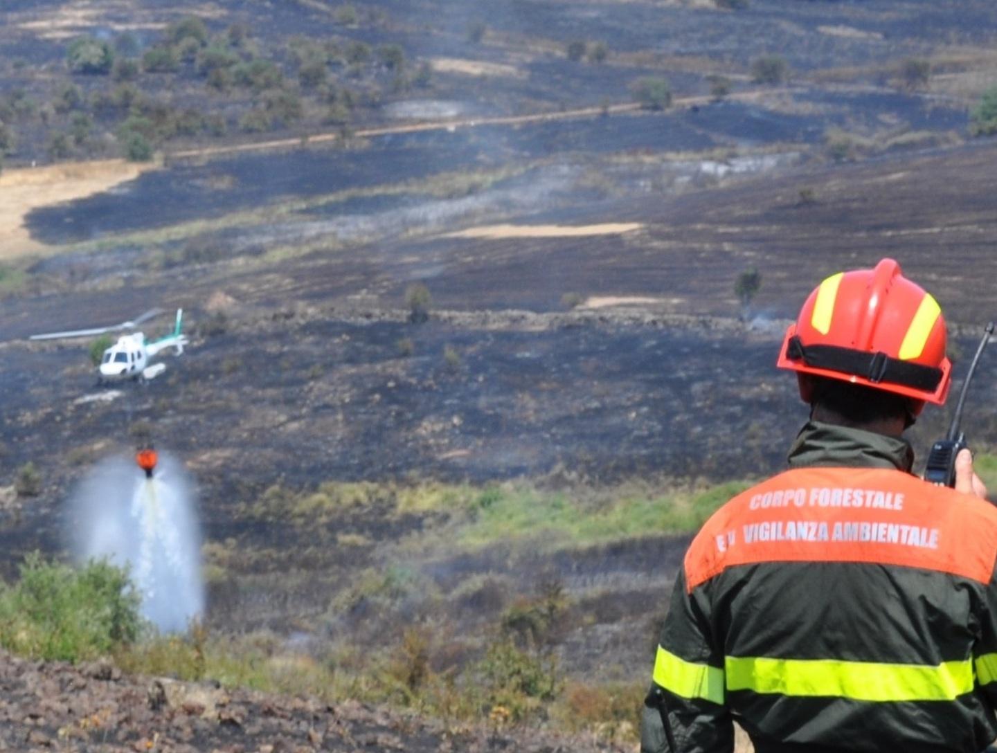 Regione sotto accusa forestali verso lo sciopero 