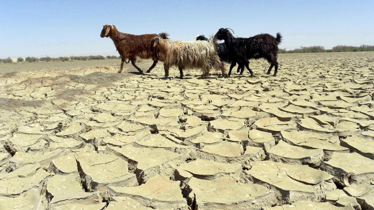 Un'immagine simbolo del riscaldamento globale