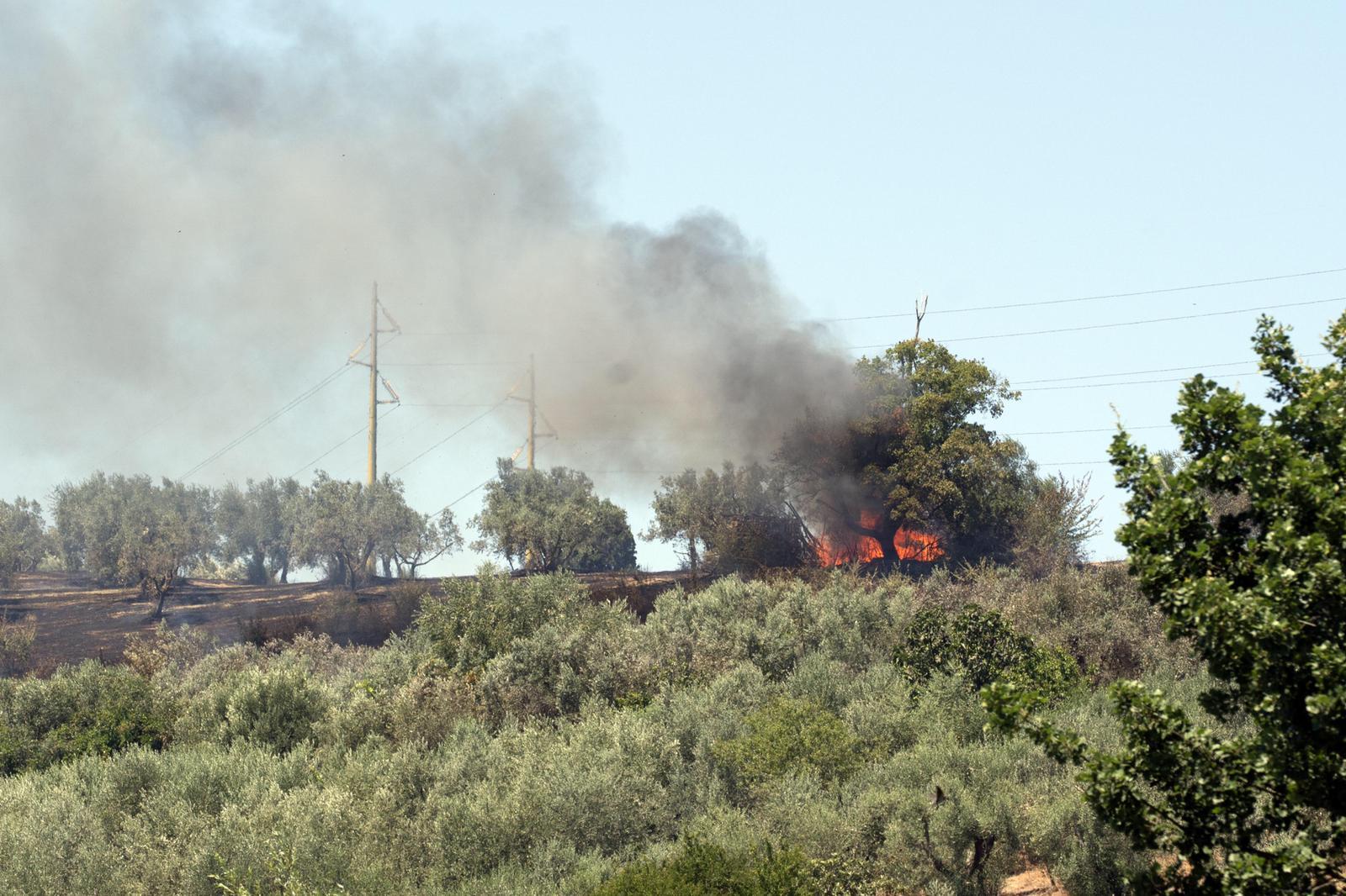 In fiamme la collina di Petroio