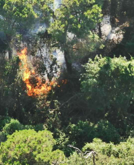 Un incendo al giorno alla Lecciona: dolosi?
