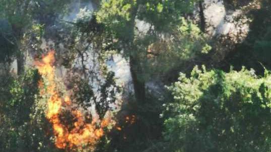 Un incendo al giorno alla Lecciona: dolosi?