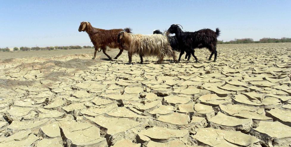 Riscaldamento globale, Prato fa peggio della media italiana 