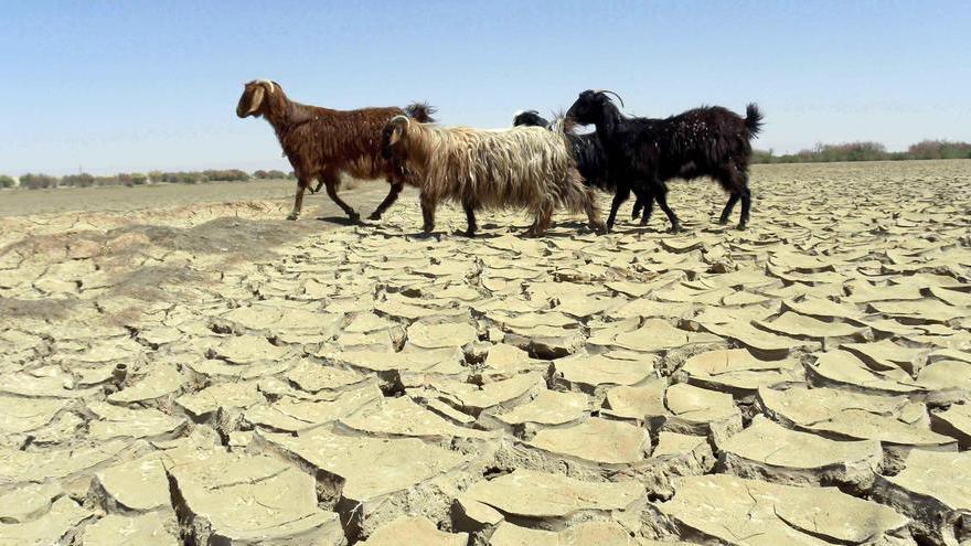 Riscaldamento globale, Prato fa peggio della media italiana