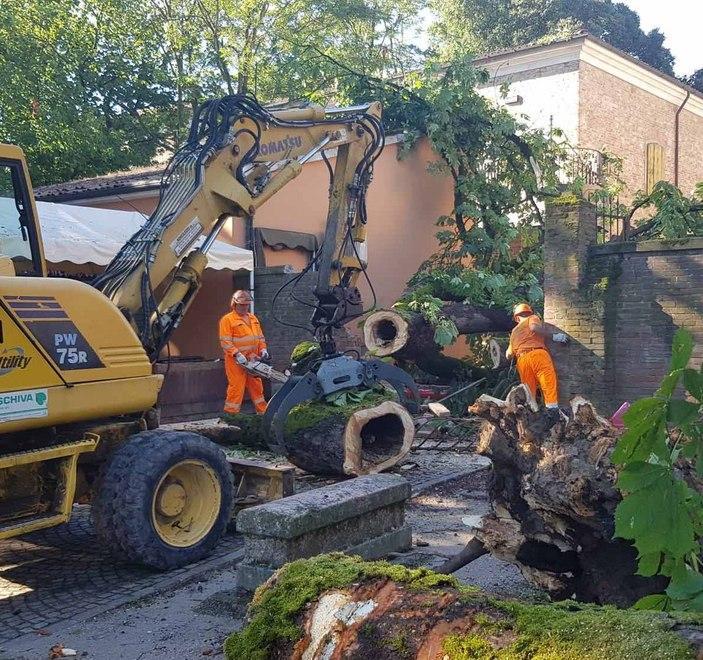 Il Massari sembra un bowling Gli alberi cadono come birilli 