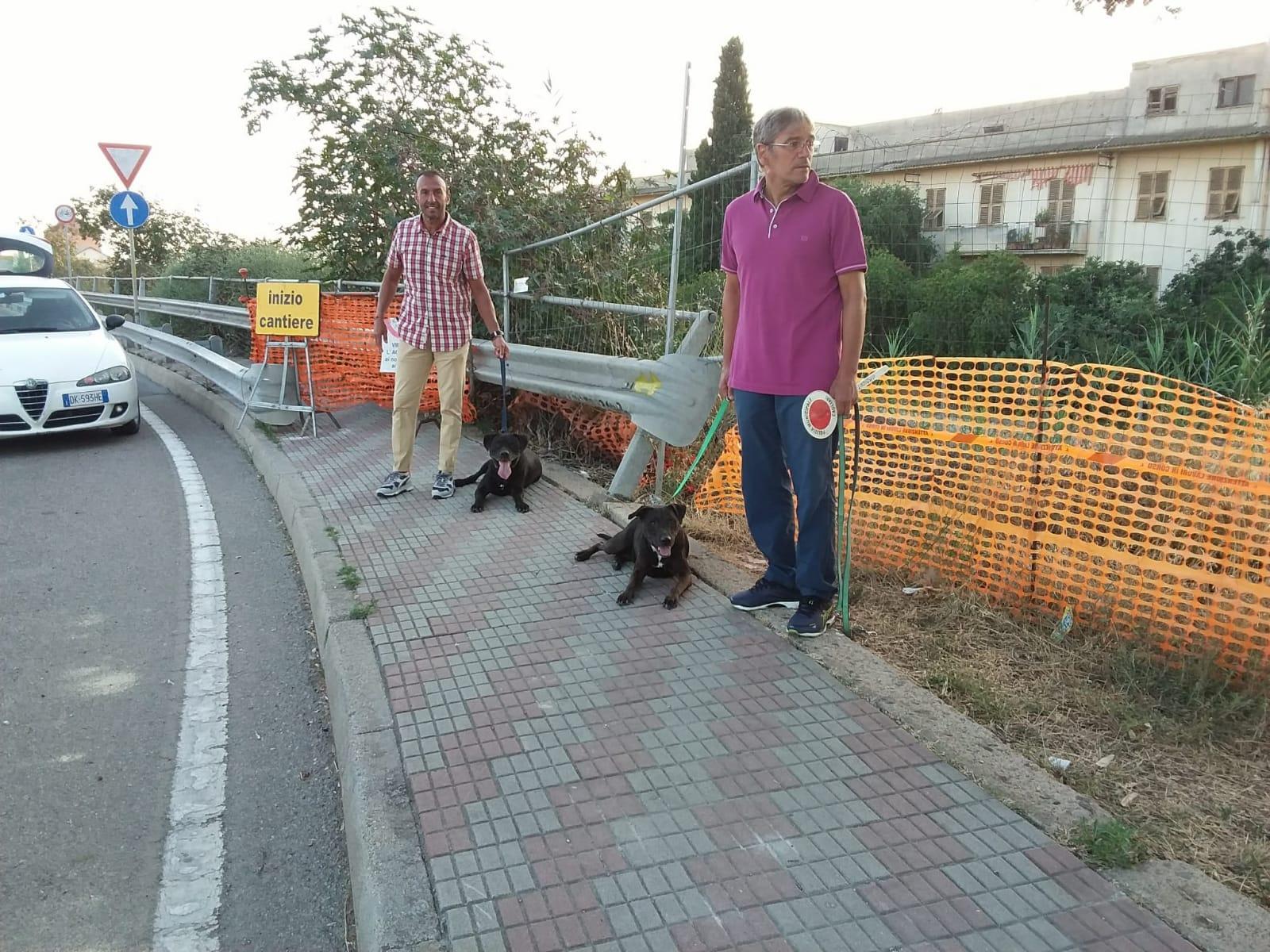 Due pitbull abbandonati sull'asse mediano di scorrimento a Cagliari