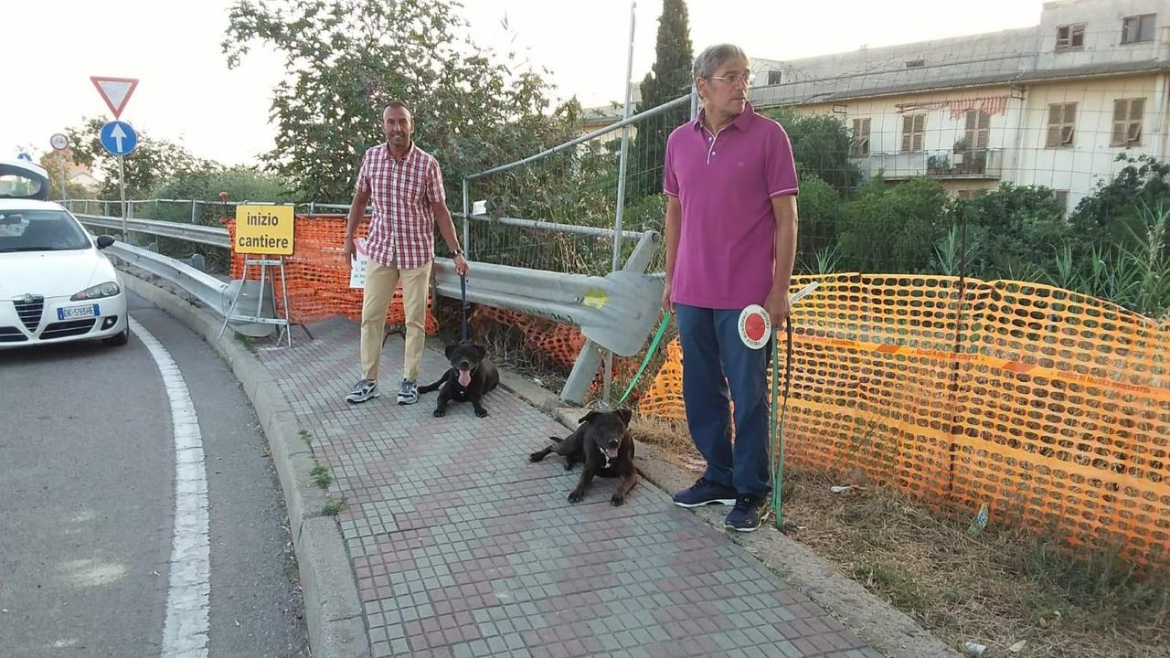 Due pitbull abbandonati sull'asse mediano di scorrimento a Cagliari