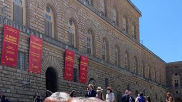 I cento lupi che azzannano il centro di Firenze