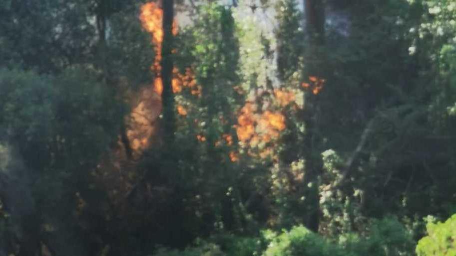 Incendi, si muove il Parco