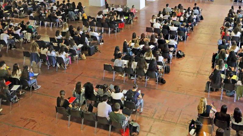 Unife entra tra le grandi ma arretra nei servizi Punto di forza, il digitale