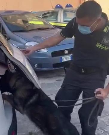 Bamby scopre la cocaina nell’auto di un corriere 