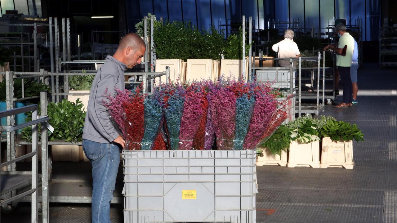 Mercato dei Fiori a Pescia, un presente burrascoso e un futuro è tutto da costruire