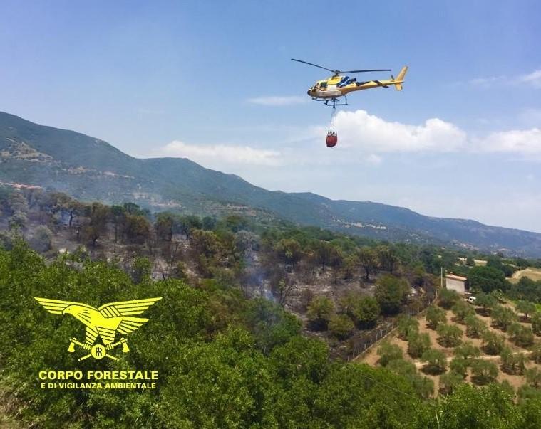 Sedici incendi in Sardegna, elicotteri a Pozzomaggiore e Bottida