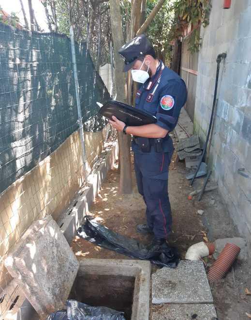 I controlli dei carabinieri forestali nell'azienda
