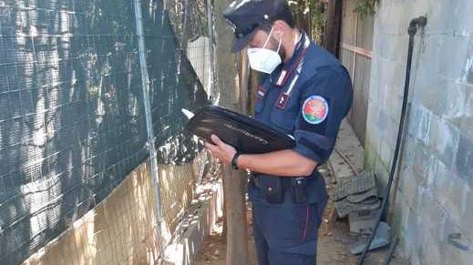 I controlli dei carabinieri forestali nell'azienda
