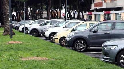Dodici palme morte e mai sostituite: piazza Nazioni unite sempre meno verde