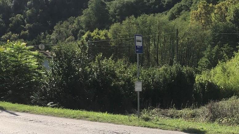 Pericolosa la fermata del bus
