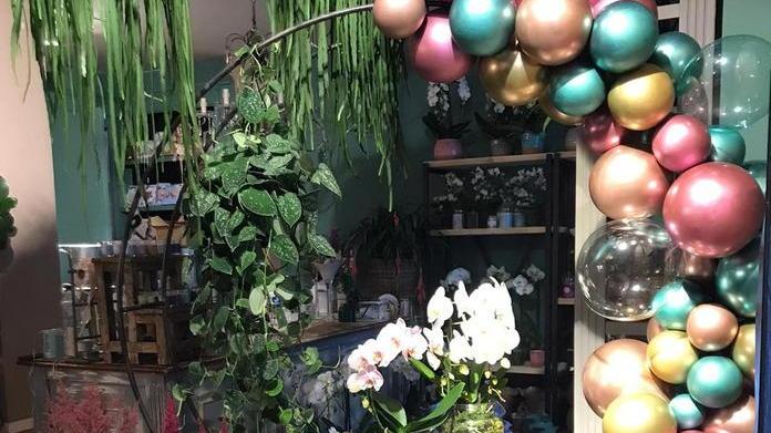 La rinascita della Gabbianella è... con fiori e piante di Manuela
