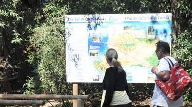 Volontari vigilano il parco di Rimigliano