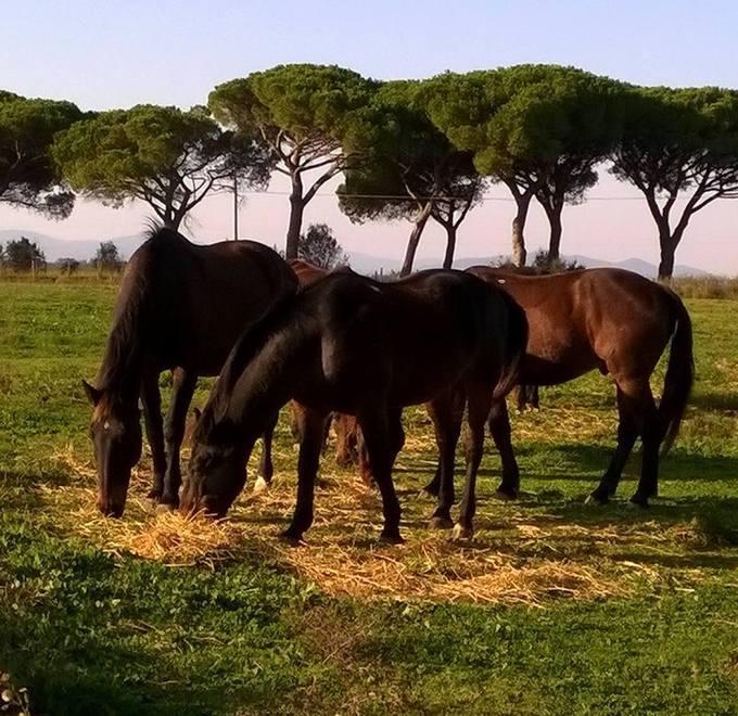 Natura e attività agricola è tutto sotto l’egida del Parco 