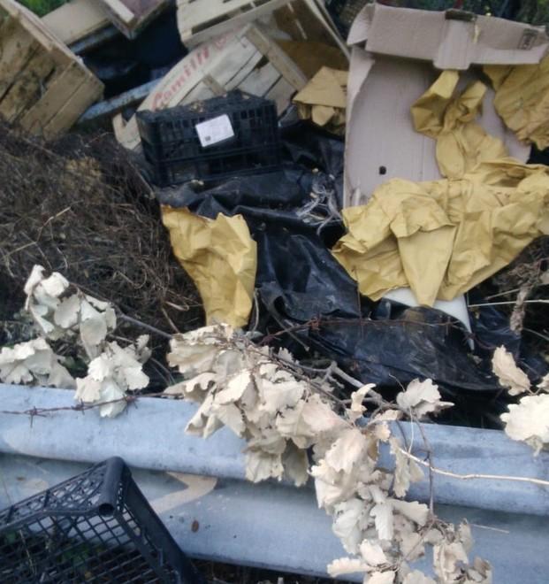 Tutto ripulito, l’antico sentiero ora è discarica