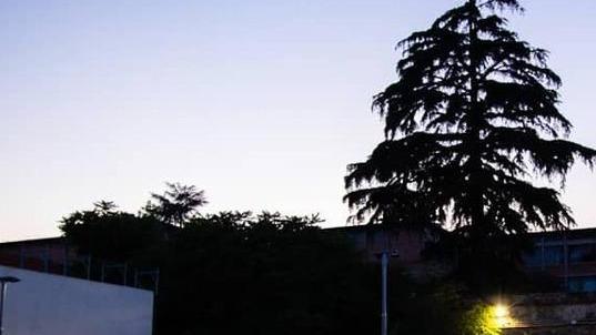 L’assessore: a Pistoia c’è spazio per due arene estive in centro