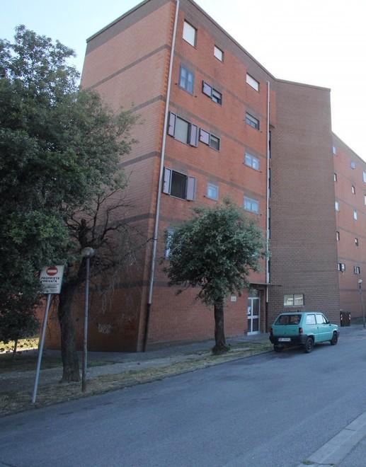 Boschi verticali sugli uffici e sulle case Ecco la Prato futuribile di “Urban Jungle” 