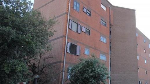 Boschi verticali sugli uffici e sulle case Ecco la Prato futuribile di “Urban Jungle”
